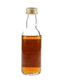 Macallan 1965 Bottled 1983 5cl / 43%