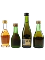 Assorted Cognac Bisquit, Marnier Lapostolle, Remy Martin, Salignac 4 x 5cl / 40%