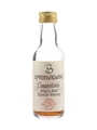 Springbank 25 Year Old Millennium Set 5cl