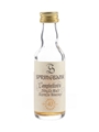 Springbank 40 Year Old Millennium Set 5cl