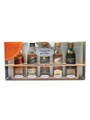 Johnnie Walker Master Blender Red Label, Black Label, Green Label, Gold Label, Blue Label 5 x 5cl