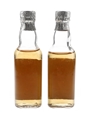 Dumbarton Malt Argentina 2 x 5cl / 43%