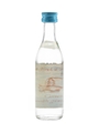 Mainstay Pure Cane Spirit South Africa 5cl