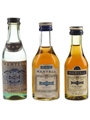 Martell 3 Star Bottled 1950s-1970s 3 x 3cl-5cl / 40%