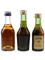 Martell 3 Star & Medaillon VSOP Bottled 1970s & 1980s 3 x 5cl / 40%