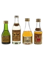 Cellar 5 French Brandy, Jules Laine Brandy, Napoleon VSOP & Royal Crest Brandy  4 x 3cl-5cl / 40%
