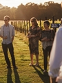Balfour Wine Estates Wine Tasting & Lunch For 4 People 