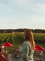 Balfour Wine Estates Wine Tasting & Lunch For 4 People 