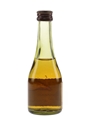 Balvenie 10 Year Old Founder's Reserve Bottled 1980s 5cl / 40%
