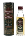 Bushmills 10 Year Old Bottled 1980s 5cl / 40%
