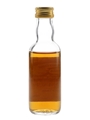 Benromach 1968 Connoisseurs Choice Bottled 1980s - Gordon & MacPhail 5cl / 40%