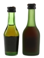 Camus & Chateau De Fontpinot Bottled 1980s 2 x 5cl