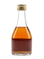 Louis Royer XO  5cl / 40%