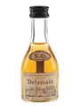 Delamain X.O. Bottled 1980s 3cl / 40%
