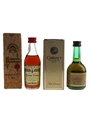 Carlos I & Cardenal Mendoza Brandy De Jerez Bottled 1980s-1990s 2 x 5cl
