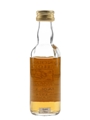 Caol Ila 1974 Connoisseurs Choice Bottled 1990s - Gordon & MacPhail 5cl / 40%