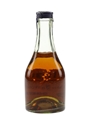 Salignac George V Reserve Bottled 1950s-1960s 5cl / 40%
