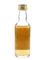 Banff 1974 Connoisseurs Choice Bottled 1990s - Gordon & MacPhail 5cl / 40%