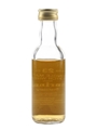 Benrinnes 23 Year Old Bottled 1980s - Cadenhead's 5cl / 46%