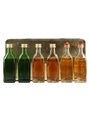 William Grant's Miniature Collection Glenfiddich & Grant's 6 x 5cl / 40%
