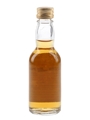 Pig's Nose Finest  4.7cl / 40%