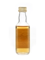 Convalmore 1969 Connoisseurs Choice Gordon & MacPhail 5cl / 40%