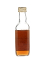 Macallan 1965 Bottled 1983 5cl / 43%