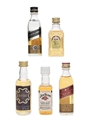Assorted Whisky Miniatures Johnnie Walker, Jim Beam, Crown Royal 5 x 5cl