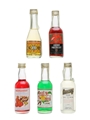 Gombar Liqueur Miniatures Portugal 5 x 5cl