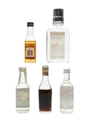 Assorted Spirit Miniatures Bell's, Smirnoff, Kirsch 10cl & 4 x 5cl