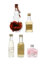 Assorted Liqueur Miniatures 3cl, 4cl, 3 x 5cl