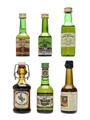 Apple Spirits & Liqueurs Miniatures Calvados, Cider Brandy, Scrumpy 3 x 5cl, 4cl, 2 x 3cl