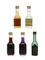 Assorted Bols Liqueur Miniatures 5 x 3.5cl