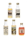Assorted Blended Whisky Miniatures  5 x 5cl