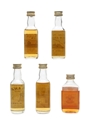 Assorted Blended Whisky Miniatures  5 x 5cl