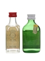 Gordon's London Gin & Bombay Dry Gin Miniatures 2 x 5cl