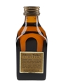 Johnnie Walker Liqueur  5cl / 40%