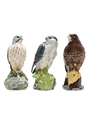 Whyte & Mackay Birds Of Prey Decanters Royal Doulton 3 x 20cl / 40%