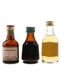 Drambuie, Gallwey's & Glayva Bottled 1960s & 1970s 3 x 5cl