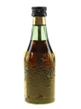 Torres 10 Gran Reserva  5cl / 39.2%