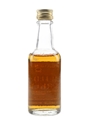 Wild Turkey Bottled 1980s - Austin Nichols 5cl / 43.4%