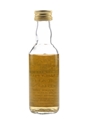 The Malt File Islay 15 Year Old The Malt Whisky Association 5cl / 40%