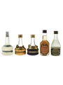 Herman Jansen & Hoppe Liqueurs  5 x 4.5cl-5cl