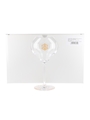 Veuve Clicquot Rich Champagne Glasses  6 x 21cm Tall