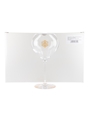 Veuve Clicquot Rich Champagne Glasses  6 x 21cm Tall