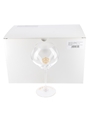 Veuve Clicquot Rich Champagne Glasses  6 x 21cm Tall