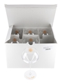 Veuve Clicquot Rich Champagne Glasses  6 x 21cm Tall