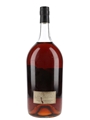 Dartigalongue 1982 Bas Armagnac Large Format - Spain 250cl / 40%