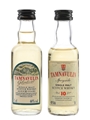 Tamnavulin 10 Year Old Bottled 1990s 2 x 5cl / 40%