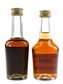 Hennessy VS & Bras Arme  2 x 5cl / 40%